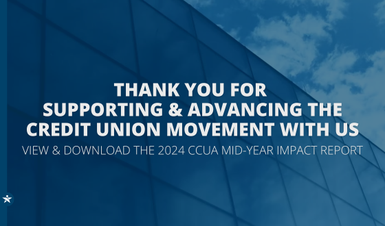 CCUA Mid-Year Impact Report Document